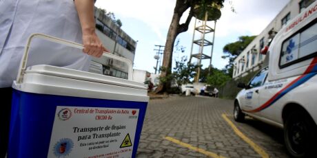 Veja como manifestar inten&ccedil;&atilde;o de doar &oacute;rg&atilde;os por meio de cart&oacute;rios