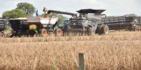 Dispara n&uacute;mero de empresas do agro em recupera&ccedil;&atilde;o judicial
