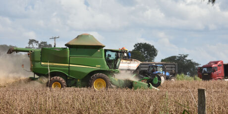 Mato Grosso do Sul tem recorde de pedidos de recupera&ccedil;&atilde;o judicial 