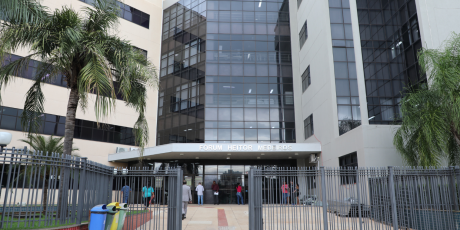 Homem &eacute; condenado a quatro anos de pris&atilde;o por matar cinco filhotes de cachorro