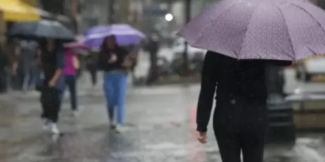 Chuva paulistana tem 14 agrotóxicos, 2 deles proibidos, indica a Unicamp