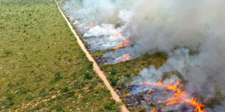 Para evitar inc&ecirc;ndio florestal, MS suspende queima controlada