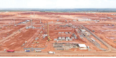 Arauco firma parceria para reabilitar animais atropelados em obra de megaf&aacute;brica em MS