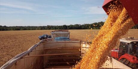 Mato Grosso do Sul fecha agosto com arrecada&ccedil;&atilde;o recorde de ICMS