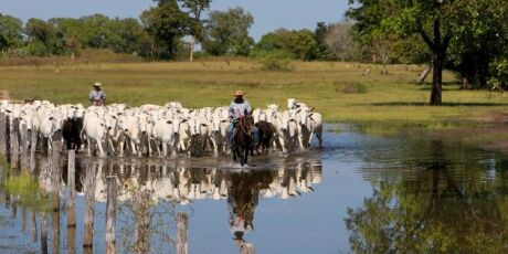 Agro quer aproveitar COP30 para captar financiamento externo 