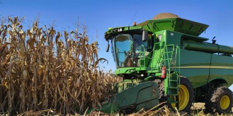 Agronegócio: MS avança no setor e garante safra recorde de soja e milho em 2025