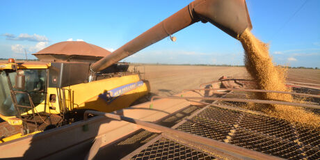 Mais de 11 milh&otilde;es de toneladas de gr&atilde;os n&atilde;o t&ecirc;m onde ser armazenados em MS