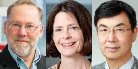 Nobel de Medicina premia cientistas de pesquisa contra c&acirc;ncer e doen&ccedil;as autoimunes