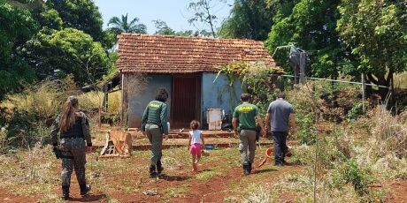 On&ccedil;a-pintada na Vila Nasser vira dissemina&ccedil;&atilde;o de fake news
