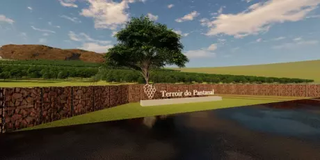 Para fugir de processo judicial, vin&iacute;cola assume obriga&ccedil;&otilde;es por desmatar vegeta&ccedil;&atilde;o nativa