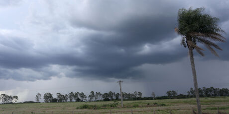 MS tem alerta de temporal e ventos intensos no final de semana
