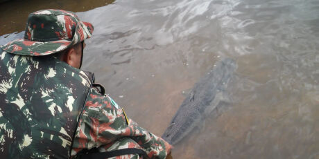 Piracema come&ccedil;a nesta quarta-feira em rios de Mato Grosso do Sul