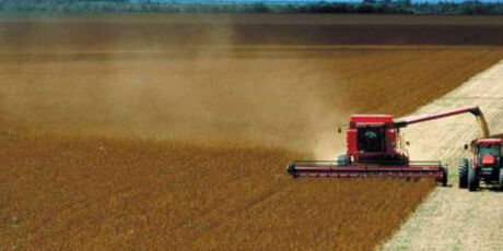 Agropecu&aacute;ria prev&ecirc; desmatamento de 6 mil hectares de fazenda no Pantanal