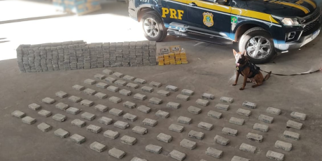 Nervosismo de motorista revela 386kg de coca&iacute;na escondido em carga de cimento