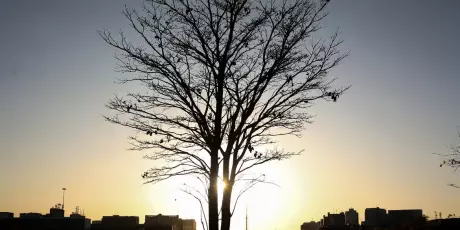 Cientista alerta para risco de aquecimento global por longo tempo