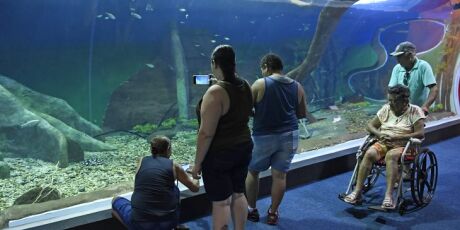 Bioparque &eacute; eleito como um dos atrativos tur&iacute;sticos mais sustent&aacute;veis do mundo