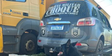 MS: caminhão dos Correios levava 44 quilos de cocaína e canetas emagrecedoras contrabandeadas