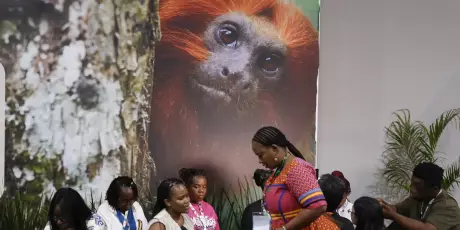 COP30: financiamento, transi&ccedil;&atilde;o e adapta&ccedil;&atilde;o s&atilde;o centro das negocia&ccedil;&otilde;es