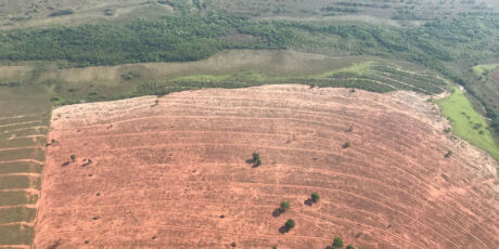 Estado d&aacute; verba milion&aacute;ria a ONGs que dizem combater inc&ecirc;ndios no Pantanal