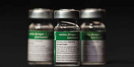 Vacina contra a dengue do Butantan pode beneficiar sa&uacute;de global