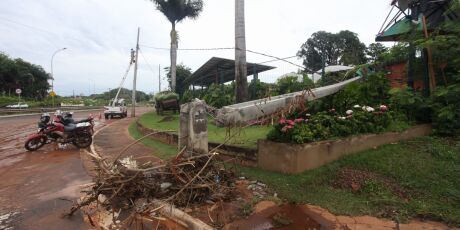 &Aacute;rvore cai e derruba poste ap&oacute;s chuva intensa em Campo Grande