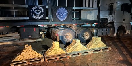 FICCO-MS apreende quase meia tonelada de cocaína na BR-060