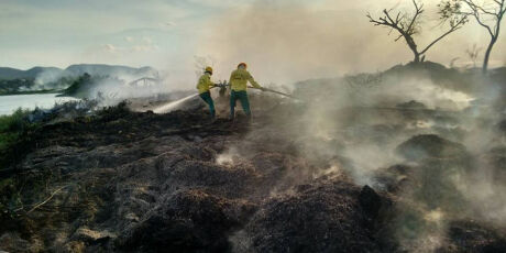 Pantanal tem redu&ccedil;&atilde;o de 92% de &aacute;reas queimadas em 2025