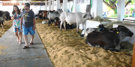 Expogrande 2026 ser&aacute; realizada de 9 a 19 de abril 