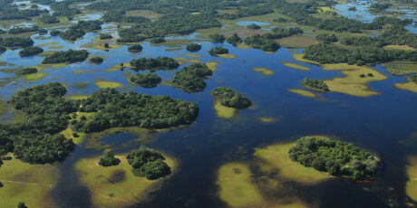 Pantanal: enfrentar mudan&ccedil;as clim&aacute;ticas depende de outros cinco biomas