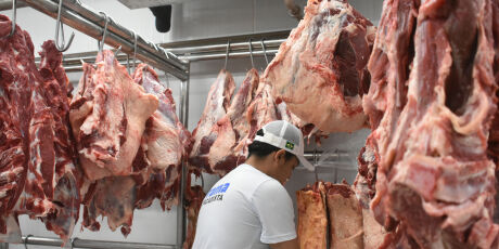 Governo promete atuar para mitigar impacto de tarifas da China sobre carne bovina