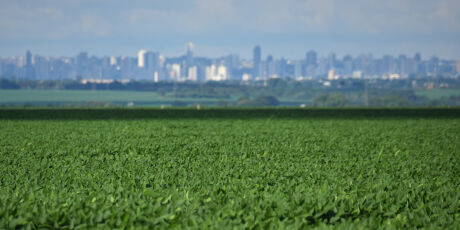 MS ocupa 7&ordm; lugar no ranking nacional da Agropecu&aacute;ria
