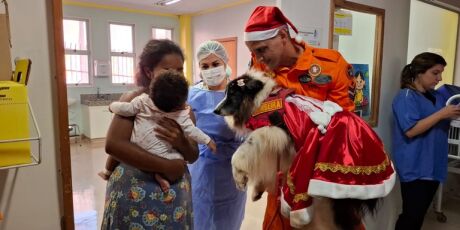 Especial fim de ano, cães bombeiros visitam Humap
