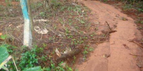 TJ nega recurso e obriga Prefeitura de Campo Grande a recuperar vias em 30 dias