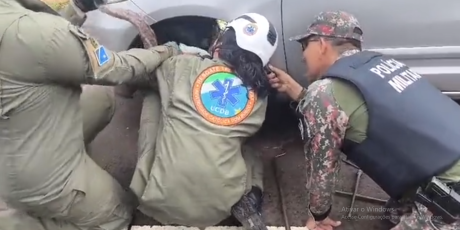 Jiboia &eacute; resgatada em roda de carro no Parque dos Poderes; veja o v&iacute;deo