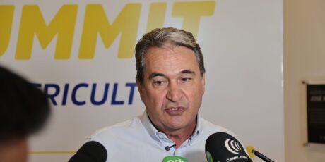 Produ&ccedil;&atilde;o de laranja deve gerar 10 mil empregos em MS