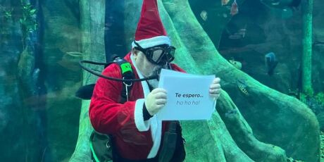Bioparque Pantanal ter&aacute; Papai Noel mergulhador em programa&ccedil;&atilde;o especial de Natal