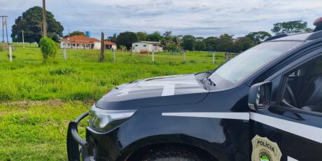 Ladr&atilde;o de carne &eacute; preso por posse ilegal de armas, viol&ecirc;ncia dom&eacute;stica e crime ambiental em MS