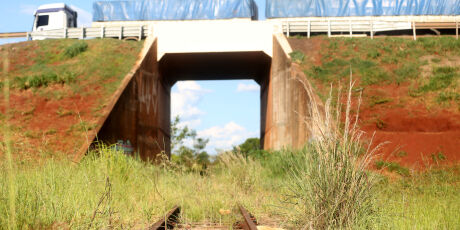 Leil&atilde;o da Malha Oeste deve ocorrer em lotes e cronograma ser&aacute; anunciado em fevereiro