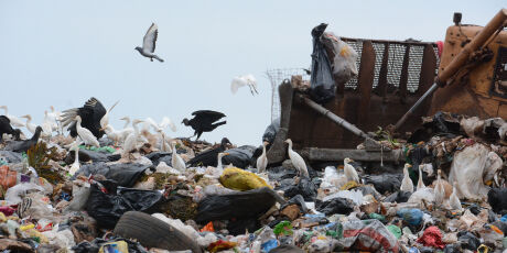 Prefeitura de Campo Grande indenizar&aacute; fam&iacute;lia de crian&ccedil;a morta em lix&atilde;o ap&oacute;s 15 anos