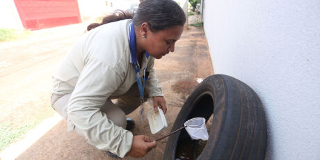 Com alta nos casos de dengue, MS amplia a&ccedil;&otilde;es para controle do mosquito em 2026