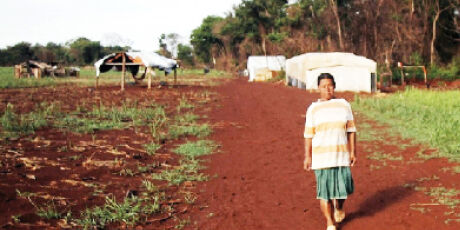 Propriet&aacute;rios t&ecirc;m 90 dias para contestar nova terra ind&iacute;gena 