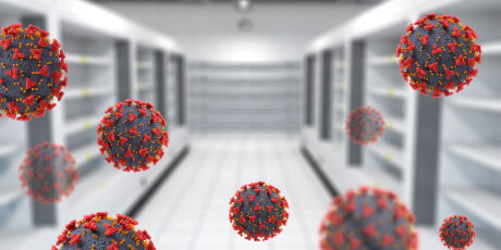 Minist&eacute;rio da Sa&uacute;de diz que v&iacute;rus Nipah n&atilde;o amea&ccedil;a o Brasil