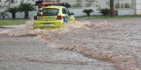 Chuva derruba &aacute;rvore e alaga vias em Campo Grande