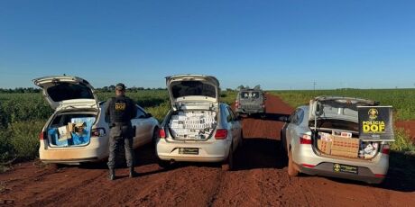 PM apreende tr&ecirc;s carros que contrabandeavam mais de R$ 400 mil em mercadorias