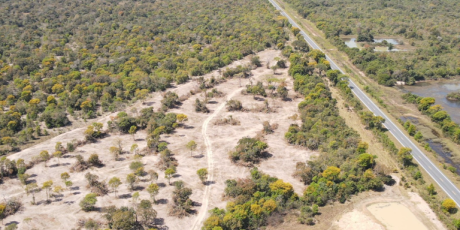 Pantanal tem terceiro menor &iacute;ndice de desmatamento da hist&oacute;ria em 2025