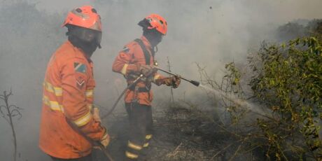 Baixo &iacute;ndice de chuva acende alerta para aumento de focos de inc&ecirc;ndio no Pantanal