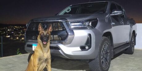 Garagem de ve&iacute;culos aplica golpe e vende caminhonete avaliada em mais de R$ 300 mil 