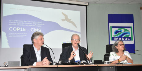 Pantanal ser&aacute; centro do debate global sobre migra&ccedil;&atilde;o de esp&eacute;cies durante a COP 15