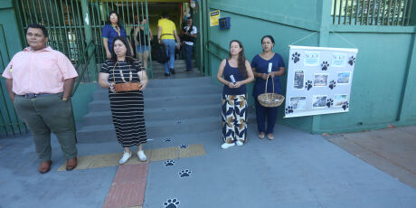 Escolas come&ccedil;am ano letivo em campanha contra maus-tratos a animais