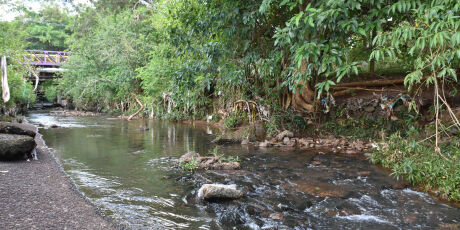 Vendedor encontra corpo no Parque das Na&ccedil;&otilde;es Ind&iacute;genas, em Campo Grande